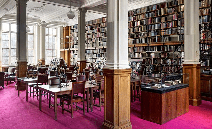 A Library with a wall full of books and tables in between
